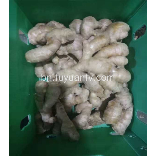 300g এবং আপ বায়ু শুকনো আদা